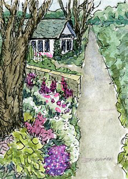 Door County Lane Nancy Neider Caledonia WI watercolor & sharpies